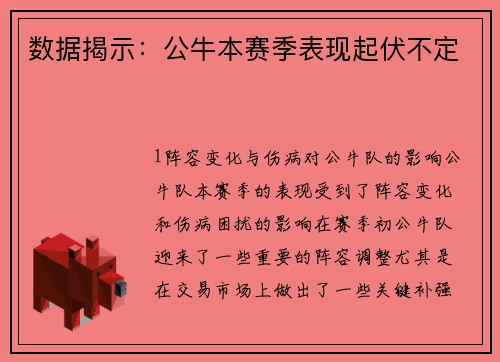数据揭示：公牛本赛季表现起伏不定